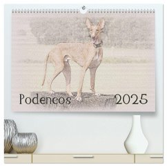 Podencos 2025 (hochwertiger Premium Wandkalender 2025 DIN A2 quer), Kunstdruck in Hochglanz