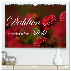 Dahlien in zauberhaftem Licht (hochwertiger Premium Wandkalender 2025 DIN A2 quer), Kunstdruck in Hochglanz - Calvendo;Stehle, Brigitte