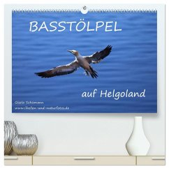 Basstölpel auf Helgoland (hochwertiger Premium Wandkalender 2025 DIN A2 quer), Kunstdruck in Hochglanz - Calvendo;Schümann, Gisela