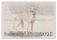 Podencos 2025 (Tischkalender 2025 DIN A5 quer), CALVENDO Monatskalender