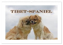 Tibet-Spaniel (Wandkalender 2025 DIN A2 quer), CALVENDO Monatskalender