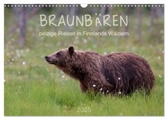 Braunbären - pelzige Riesen in Finnlands Wäldern (Wandkalender 2025 DIN A3 quer), CALVENDO Monatskalender