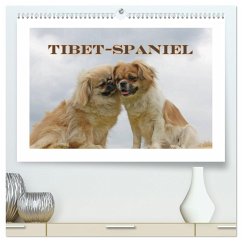 Tibet-Spaniel (hochwertiger Premium Wandkalender 2025 DIN A2 quer), Kunstdruck in Hochglanz