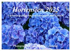 Hortensien 2025. Farbenprächtige Impressionen aus dem Garten (Wandkalender 2025 DIN A2 quer), CALVENDO Monatskalender