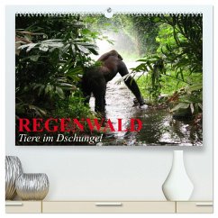 Regenwald ¿ Tiere im Dschungel (hochwertiger Premium Wandkalender 2025 DIN A2 quer), Kunstdruck in Hochglanz Regenwald ¿ Tiere im Dschungel (hochwertiger Premium Wandkalender 2025 DIN A2 quer), Kunstdruck in Hochglanz