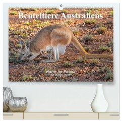Beuteltiere Australiens (hochwertiger Premium Wandkalender 2025 DIN A2 quer), Kunstdruck in Hochglanz