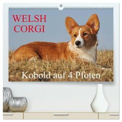 Welsh Corgi - Kobold auf 4 Pfoten (hochwertiger Premium Wandkalender 2025 DIN A2 quer), Kunstdruck in Hochglanz - Calvendo;Starick, Sigrid