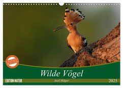 Wilde Vögel (Wandkalender 2025 DIN A3 quer), CALVENDO Monatskalender