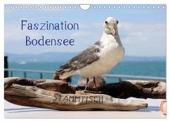 Faszination Bodensee (Wandkalender 2025 DIN A4 quer), CALVENDO Monatskalender - Calvendo;Raab, Karsten-Thilo