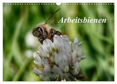 Arbeitsbienen (Wandkalender 2025 DIN A3 quer), CALVENDO Monatskalender - Calvendo;Kretschmann, Klaudia