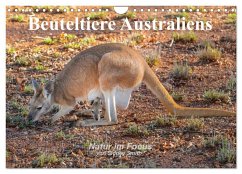 Beuteltiere Australiens (Wandkalender 2025 DIN A4 quer), CALVENDO Monatskalender