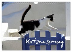 Katzensprung (Wandkalender 2025 DIN A4 quer), CALVENDO Monatskalender