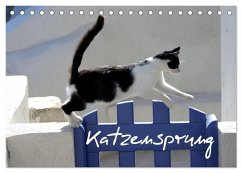 Katzensprung (Tischkalender 2025 DIN A5 quer), CALVENDO Monatskalender - Calvendo;Loos - www.shabbyflair.de, Alexandra