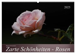 Zarte Schönheiten - Rosen (Wandkalender 2025 DIN A2 quer), CALVENDO Monatskalender - Calvendo;Schumann, Bianca