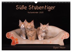 Süße Stubentiger - Katzenkinder (Wandkalender 2025 DIN A3 quer), CALVENDO Monatskalender - Calvendo;Heuser, Regine