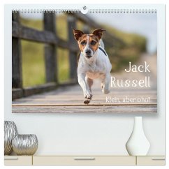 Jack Russell - Klein, aber oho! (hochwertiger Premium Wandkalender 2025 DIN A2 quer), Kunstdruck in Hochglanz