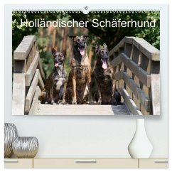 Holländischer Schäferhund (hochwertiger Premium Wandkalender 2025 DIN A2 quer), Kunstdruck in Hochglanz