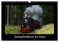 Dampferlebnis im Harz (Wandkalender 2025 DIN A3 quer), CALVENDO Monatskalender