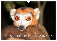 Faszination Madagaskar (Wandkalender 2025 DIN A3 quer), CALVENDO Monatskalender