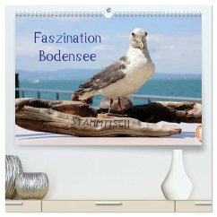 Faszination Bodensee (hochwertiger Premium Wandkalender 2025 DIN A2 quer), Kunstdruck in Hochglanz