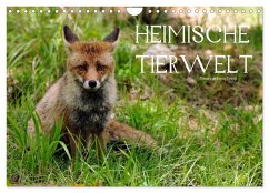 Heimische Tierwelt (Wandkalender 2025 DIN A4 quer), CALVENDO Monatskalender