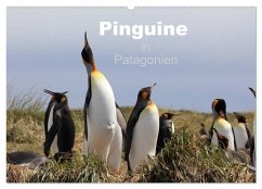 Pinguine in Patagonien (Wandkalender 2025 DIN A2 quer), CALVENDO Monatskalender