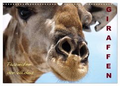 Giraffen ¿ Faszination der Wildnis (Wandkalender 2025 DIN A3 quer), CALVENDO Monatskalender
