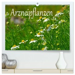 Arzneipflanzen (hochwertiger Premium Wandkalender 2025 DIN A2 quer), Kunstdruck in Hochglanz - Calvendo;LianeM