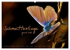 Schmetterlinge ganz nah (Wandkalender 2025 DIN A2 quer), CALVENDO Monatskalender
