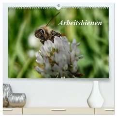 Arbeitsbienen (hochwertiger Premium Wandkalender 2025 DIN A2 quer), Kunstdruck in Hochglanz
