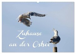 Zuhause an der Ostsee (Wandkalender 2025 DIN A2 quer), CALVENDO Monatskalender