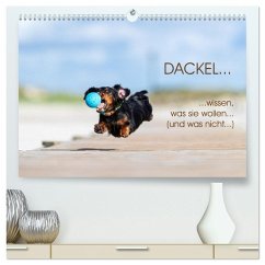 DACKEL... wissen was sie wollen... (und was nicht...) (hochwertiger Premium Wandkalender 2025 DIN A2 quer), Kunstdruck in Hochglanz - Calvendo;Mirsberger annettmirsberger.de, Annett