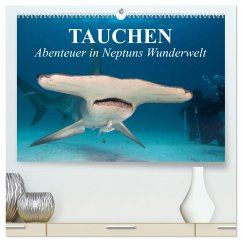 Tauchen - Abenteuer in Neptuns Wunderwelt (hochwertiger Premium Wandkalender 2025 DIN A2 quer), Kunstdruck in Hochglanz - Calvendo;Stanzer, Elisabeth