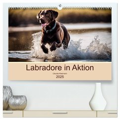 Labradore in Aktion (hochwertiger Premium Wandkalender 2025 DIN A2 quer), Kunstdruck in Hochglanz