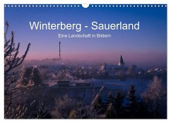 Winterberg - Sauerland - Eine Landschaft in Bildern (Wandkalender 2025 DIN A3 quer), CALVENDO Monatskalender