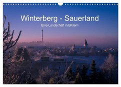 Winterberg - Sauerland - Eine Landschaft in Bildern (Wandkalender 2025 DIN A3 quer), CALVENDO Monatskalender - Calvendo;Pi, Dora