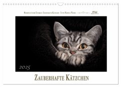 Zauberhafte Kätzchen (Wandkalender 2025 DIN A3 quer), CALVENDO Monatskalender