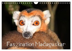 Faszination Madagaskar (Wandkalender 2025 DIN A4 quer), CALVENDO Monatskalender - Calvendo;Raab, Karsten-Thilo