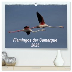 Flamingos der Camargue 2025 (hochwertiger Premium Wandkalender 2025 DIN A2 quer), Kunstdruck in Hochglanz