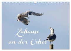 Zuhause an der Ostsee (Wandkalender 2025 DIN A3 quer), CALVENDO Monatskalender - Calvendo;Hultsch, Heike