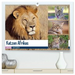 Katzen Afrikas (hochwertiger Premium Wandkalender 2025 DIN A2 quer), Kunstdruck in Hochglanz - Calvendo;Herzog, Michael