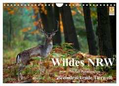 Wildes NRW - Beeindruckende Tierwelt (Wandkalender 2025 DIN A4 quer), CALVENDO Monatskalender