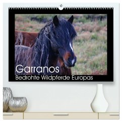 Garranos - Bedrohte Wildpferde Europas (hochwertiger Premium Wandkalender 2025 DIN A2 quer), Kunstdruck in Hochglanz