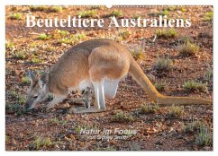 Beuteltiere Australiens (Wandkalender 2025 DIN A2 quer), CALVENDO Monatskalender - Calvendo;Smith, Sidney