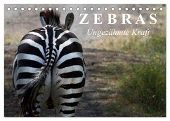 Zebras - Ungezähmte Kraft (Tischkalender 2025 DIN A5 quer), CALVENDO Monatskalender