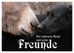 Der schwarze Hund und seine Freunde (Wandkalender 2025 DIN A2 quer), CALVENDO Monatskalender - Calvendo;Gsödl, Michael