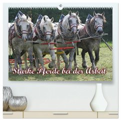 Starke Pferde bei der Arbeit (hochwertiger Premium Wandkalender 2025 DIN A2 quer), Kunstdruck in Hochglanz