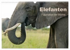 Elefanten - Faszination der Wildnis (Wandkalender 2025 DIN A3 quer), CALVENDO Monatskalender