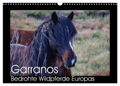 Garranos - Bedrohte Wildpferde Europas (Wandkalender 2025 DIN A3 quer), CALVENDO Monatskalender