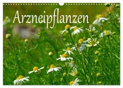 Arzneipflanzen (Wandkalender 2025 DIN A3 quer), CALVENDO Monatskalender